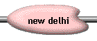 new delhi